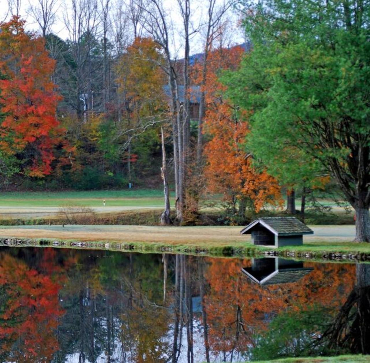 Peace, Serenity & Relaxation In The Smokies! 개틀린버그 외부 사진