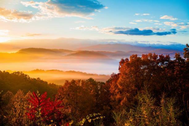Peace, Serenity & Relaxation In The Smokies! 개틀린버그 외부 사진